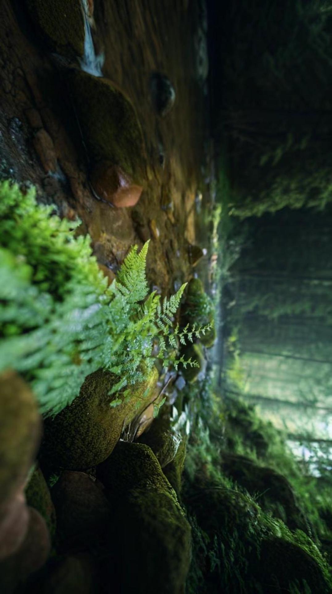 Zhangjiajie One Art Guesthouse エクステリア 写真