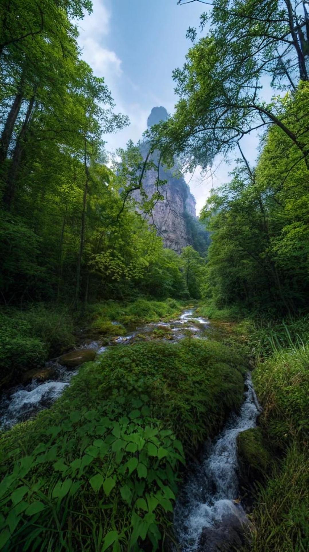 Zhangjiajie One Art Guesthouse エクステリア 写真