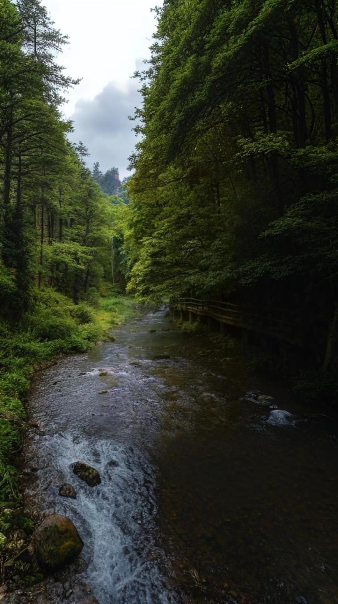 Zhangjiajie One Art Guesthouse エクステリア 写真