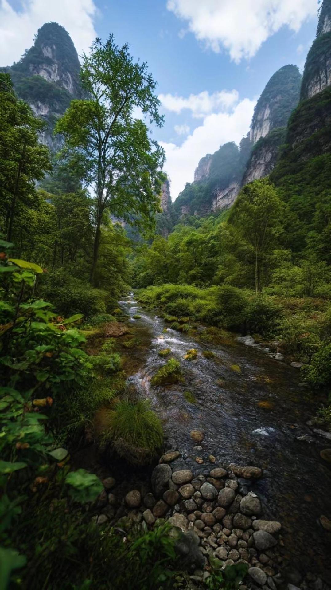 Zhangjiajie One Art Guesthouse エクステリア 写真