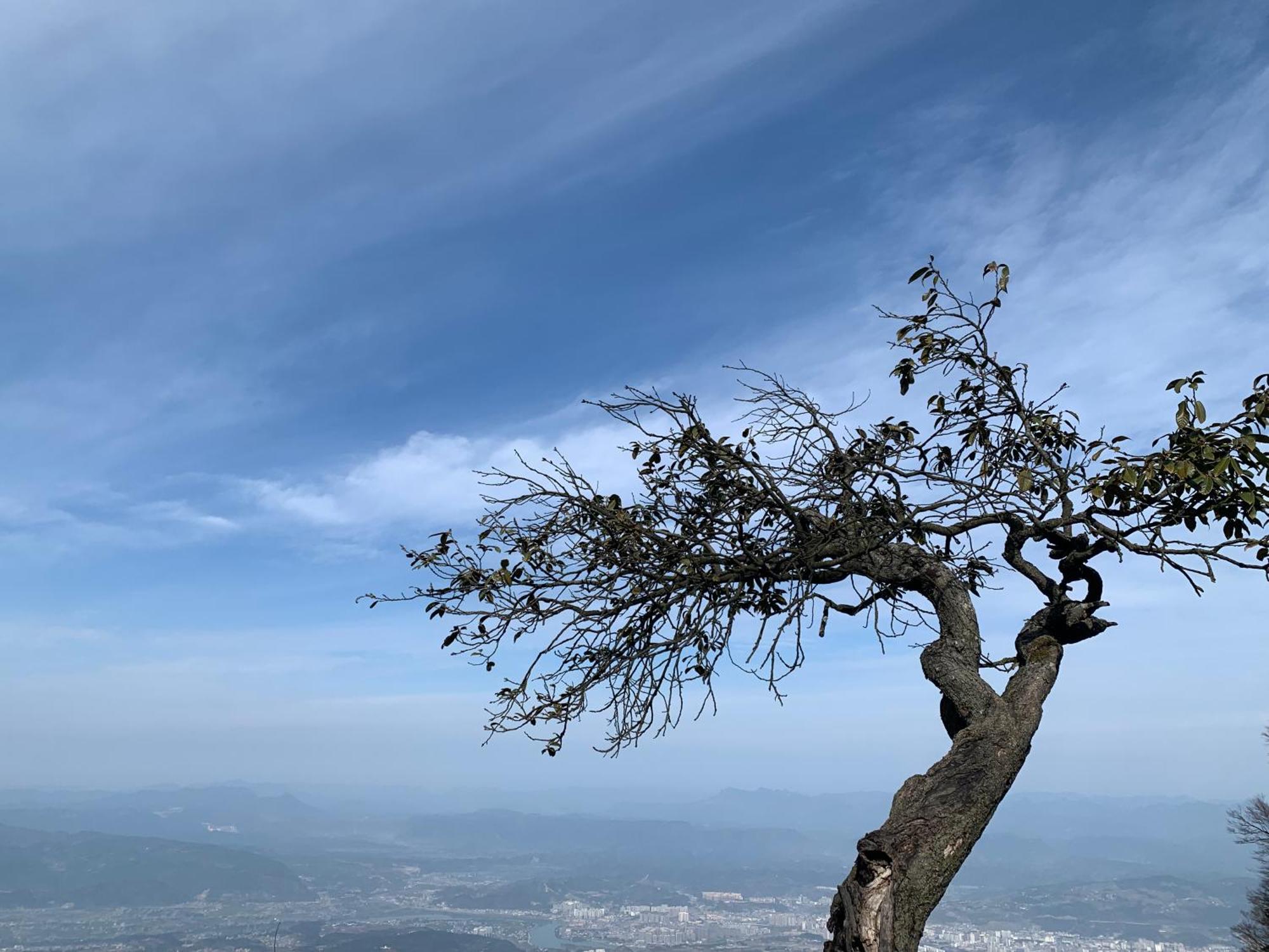 Zhangjiajie One Art Guesthouse エクステリア 写真