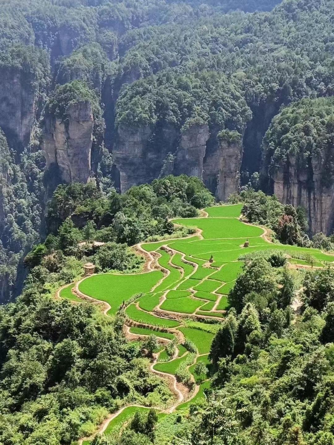 Zhangjiajie One Art Guesthouse エクステリア 写真